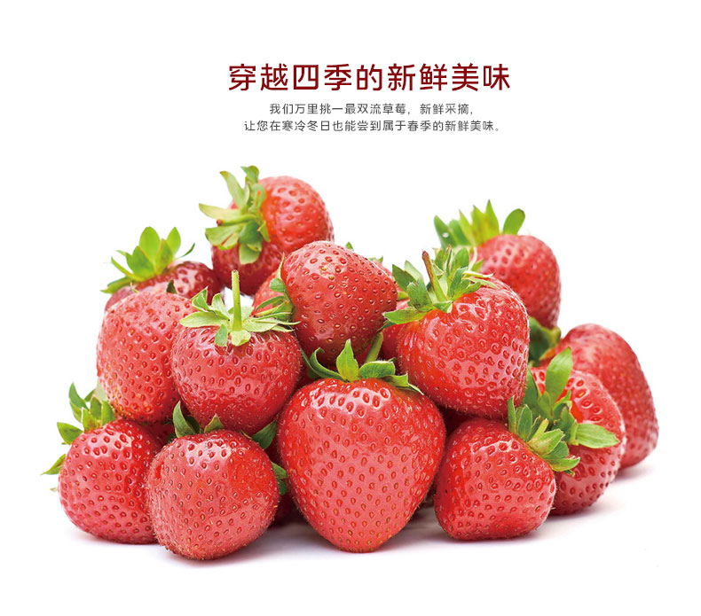 鲜摘草莓(图2)