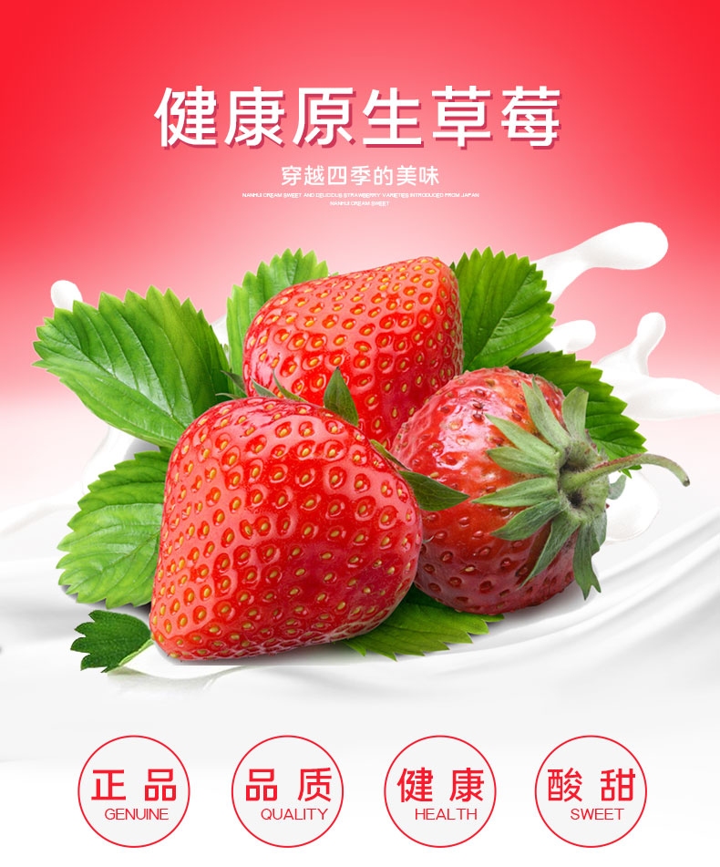 鲜摘草莓(图1)