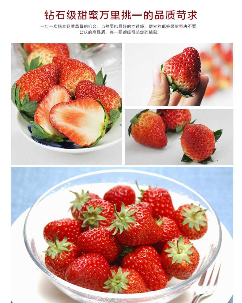 鲜摘草莓(图3)