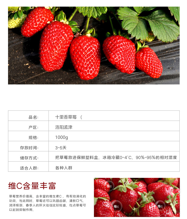 鲜摘草莓(图5)