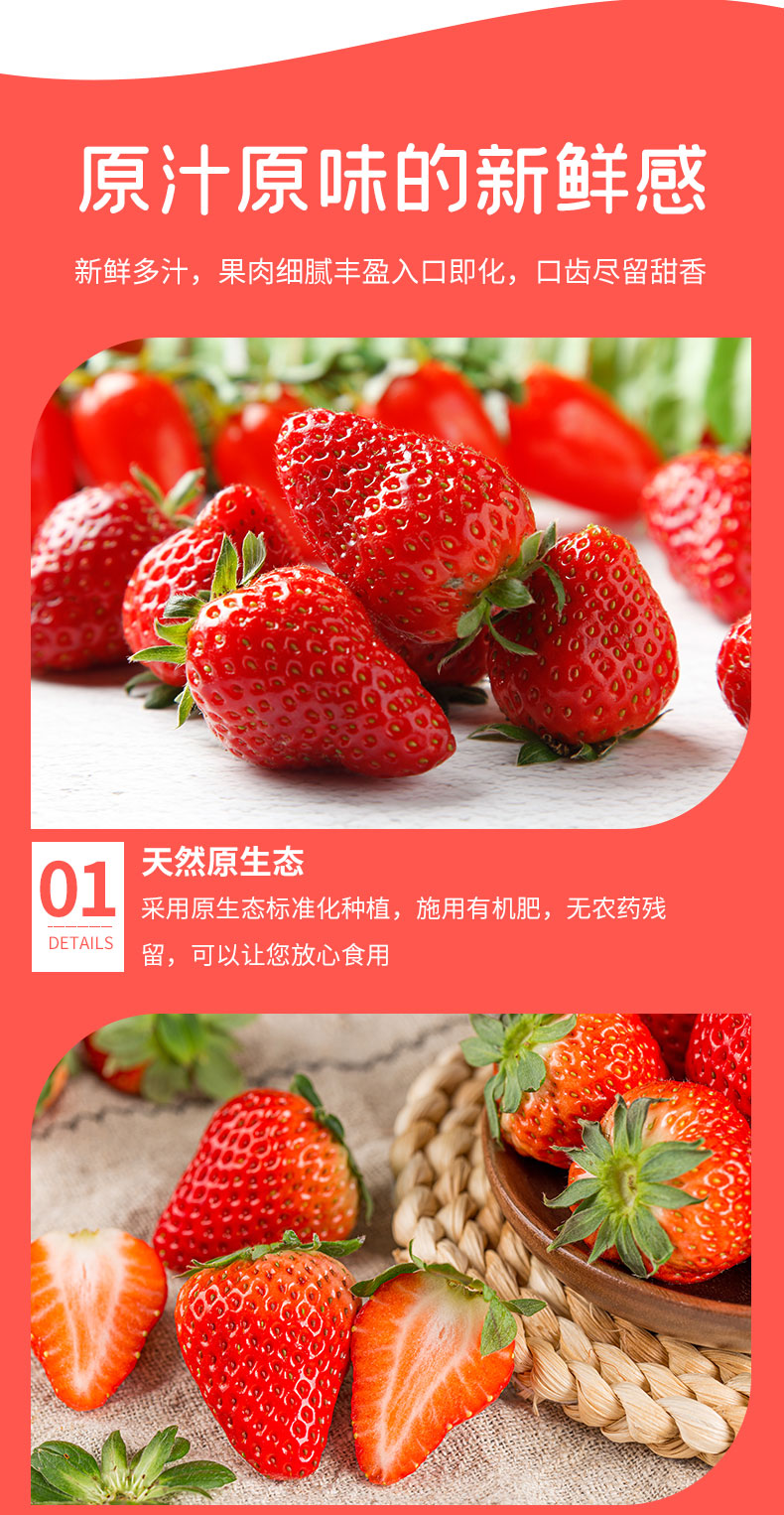 草莓_05.jpg