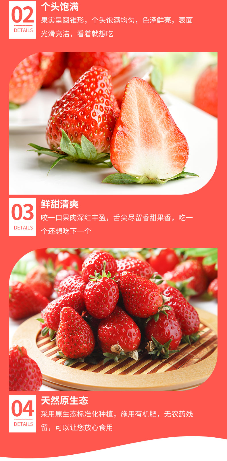 草莓_06.jpg