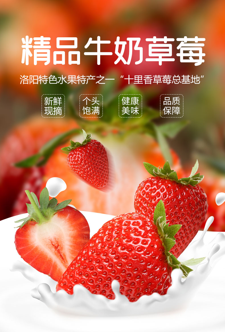 奶油草莓(图1)